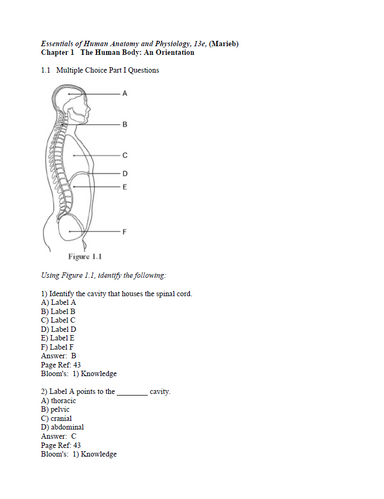 Essentials of Human Anatomy & Physiology 13th Edition Marieb TEST BANK