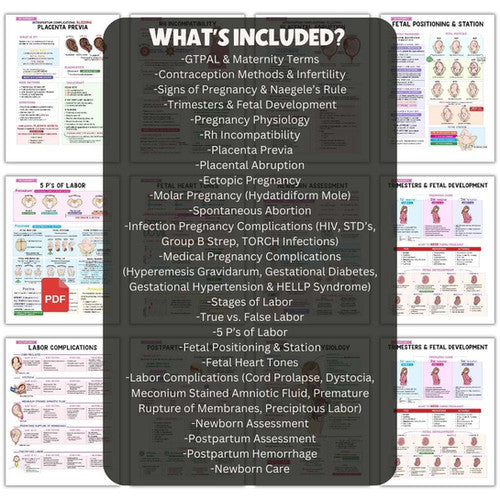 OB Maternity Nursing Bundle - PDF