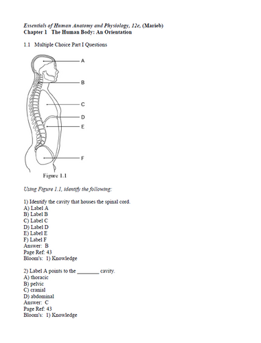 Essentials of Human Anatomy & Physiology 12th Edition TEST BANK