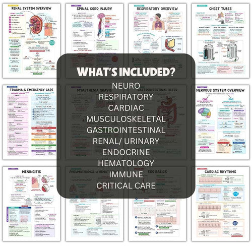 Med-Surg Nursing Bundle - PDF