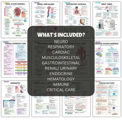 Med-Surg Nursing Bundle - PDF