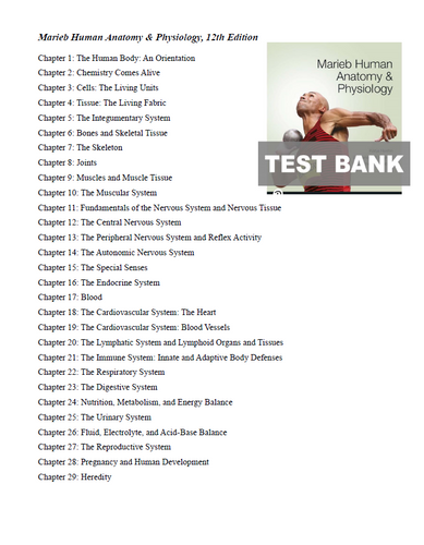 Marieb Human Anatomy and Physiology 12th Edition TEST BANK