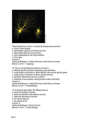 Neuroscience 7th Edition TEST BANK 9780197616246