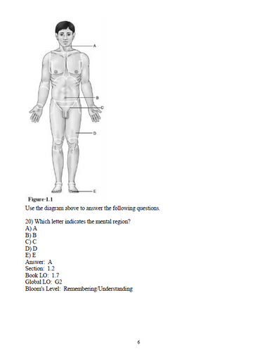 Human Anatomy 9th Edition Marieb TEST BANK